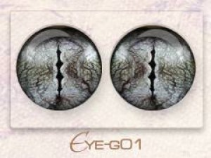 Eye-g01