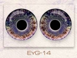 EyG-14