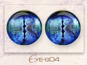 Eye-g04