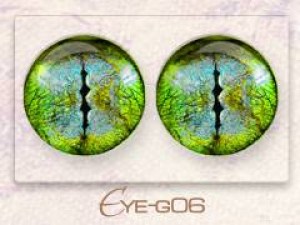 Eye-g06
