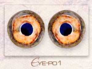 Eye-po1
