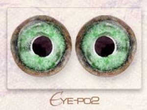 Eye-po2