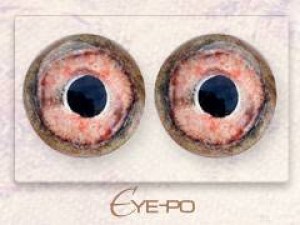 Eye-po