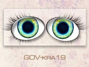 GOV-kra19