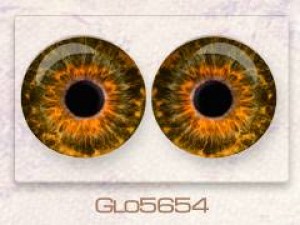 Glo5654