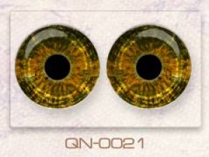 QN-0021