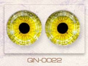 QN-0022