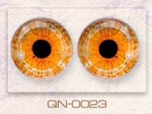 QN-0023
